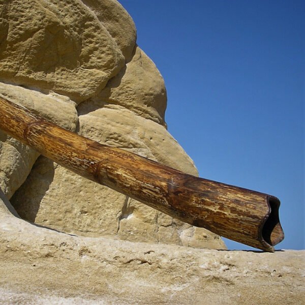 Didgeridoo 2