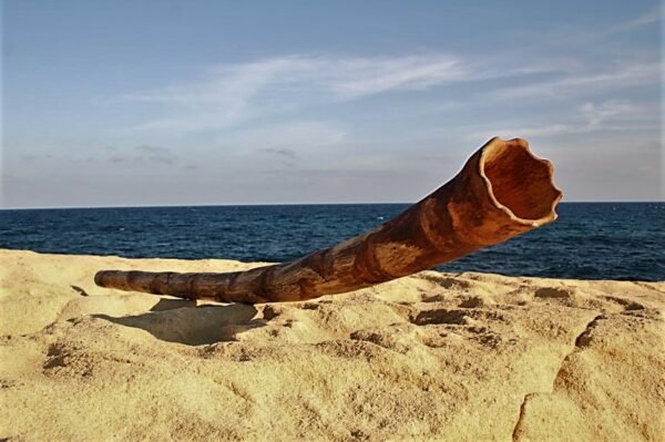Didgeridoo 4